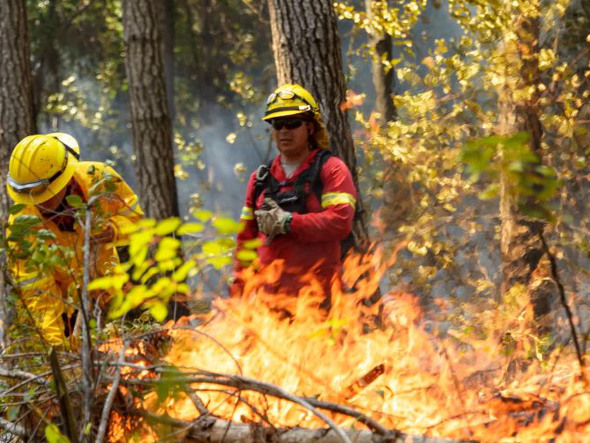 429% aumenta superficie afectada por incendios forestales en Los Ríos