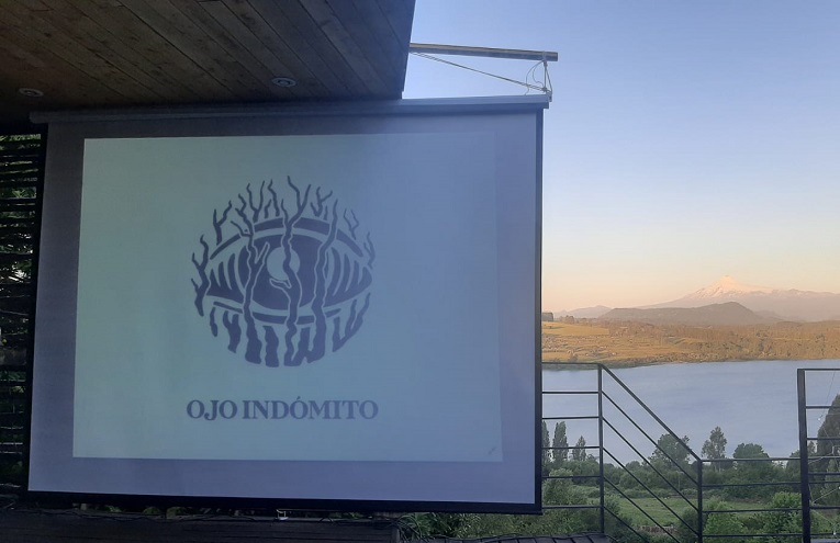“Ojo Indómito” desarrolló exitosa primera versión del Festival de Cine Internacional en Panguipulli