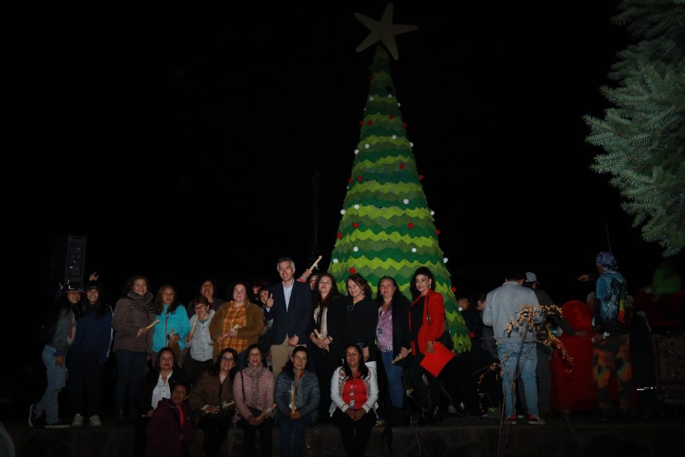 Municipalidad de Panguipulli realizó por primera vez encendido de árbol de navidad en Coñaripe