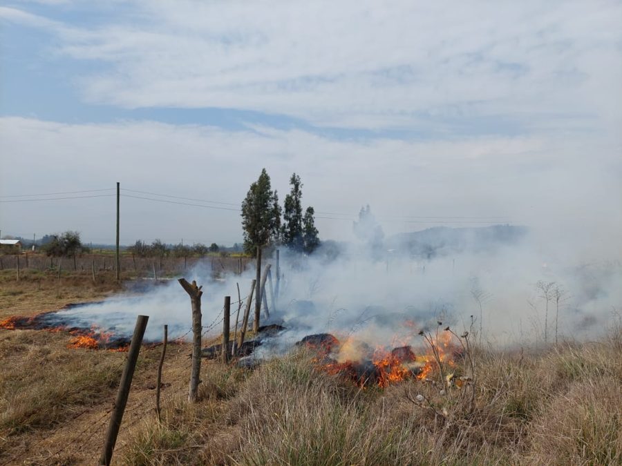 CONAF abre calendario de quemas de desechos agrícolas y forestales en toda La Araucanía