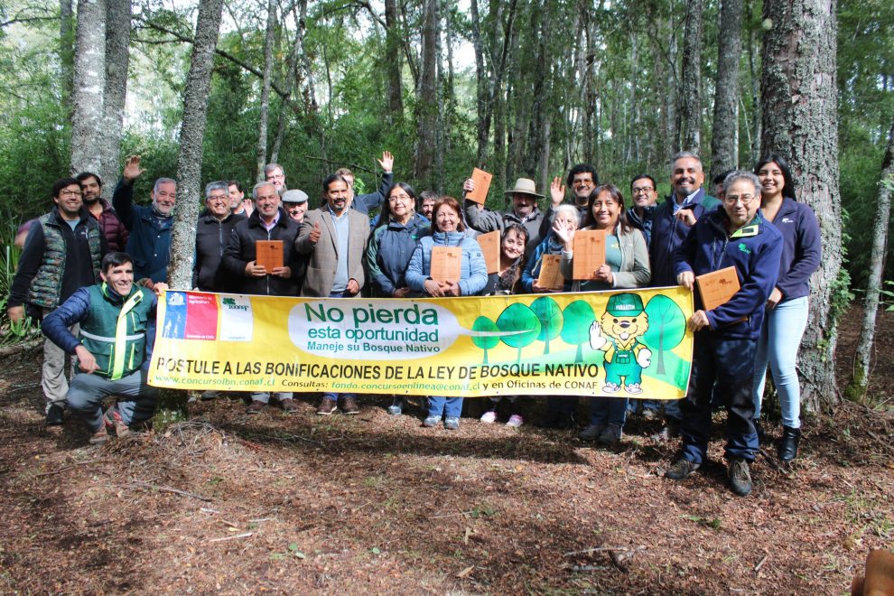 CONAF reconoce trabajo de propietarios de La Araucanía en el marco del Concurso de Recuperación del Bosque Nativo