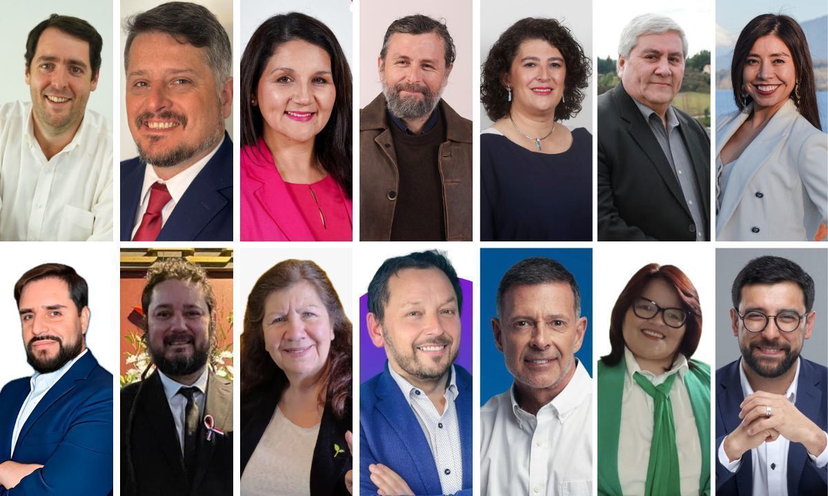 Kunstmann arroja un 19,2% y Republicanos se imponen  logrando dos diputados