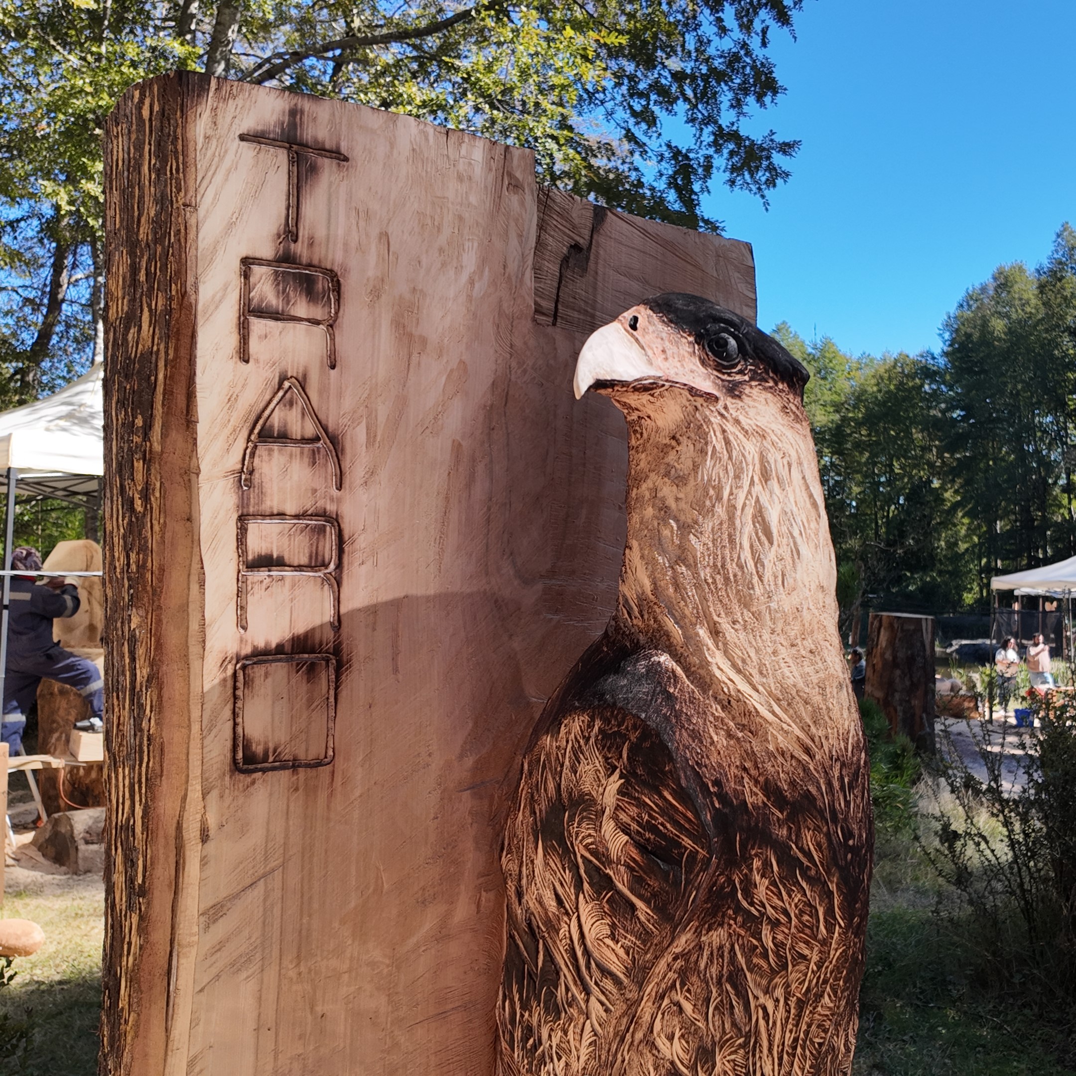 Arte y conservación se unen en concurso internacional de esculturas en Huilo Huilo